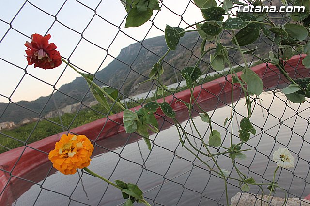 Procesin Vias-Carivete 2014 - 97