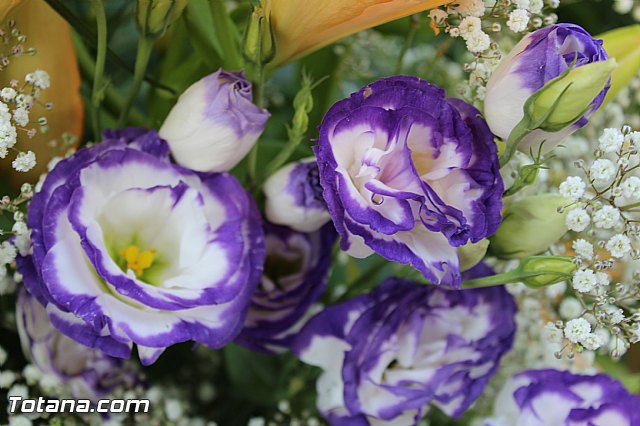 Procesin Vias-Carivete 2015 - 21