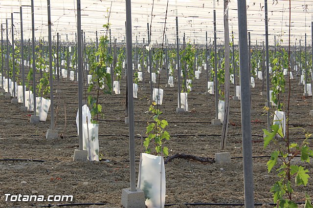 Procesin Vias-Carivete 2015 - 106