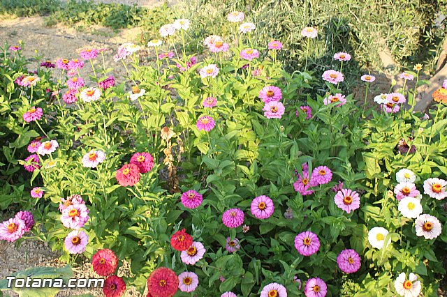 Procesin Vias-Carivete 2015 - 126