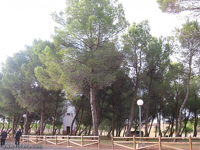 Viaje a Villanueva de los Infantes (Ciudad Real) - 189