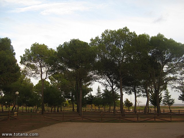 Viaje a Villanueva de los Infantes (Ciudad Real) - 194