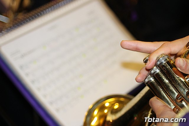 Concierto 30 aniversario de la fundacin de la Agrupacin Musical de La Vernica - 154