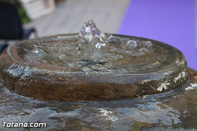 Fiesta Santa Vernica 2015 - 4