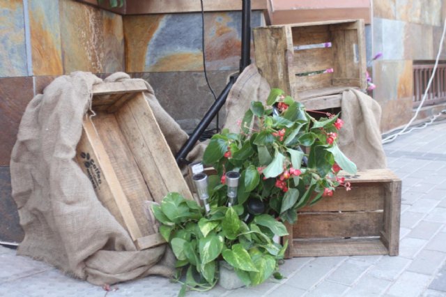 Fiesta Santa Vernica 2015 - 112