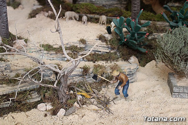 Inauguracin Beln de la Vernica 2017 - 8