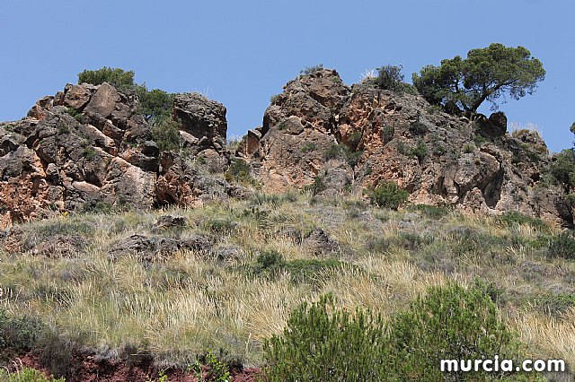 Encuentro de hermandades, cofradas y agrupaciones de La Vernica - 40