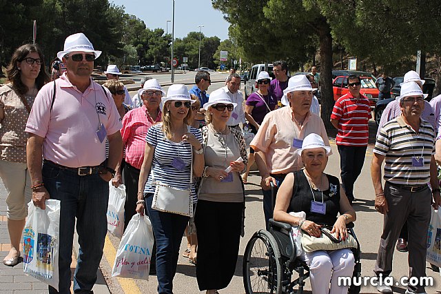Encuentro de hermandades, cofradas y agrupaciones de La Vernica - 74