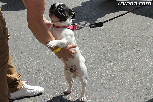Vespa meeting 2013 - 101
