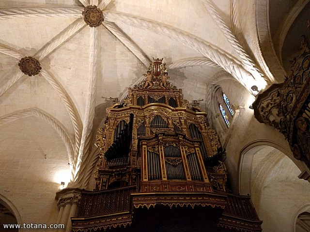 Viaje a Almera y Cabo de Gata, y a Orihuela - 52