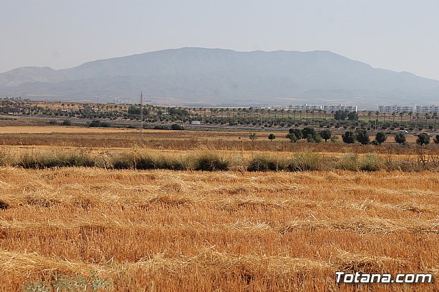 Visita a la va verde Campo de Cartagena - Totana - 12