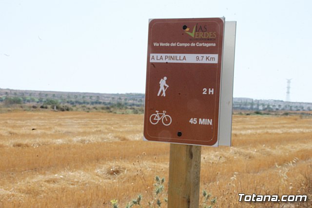 Visita a la va verde Campo de Cartagena - Totana - 22