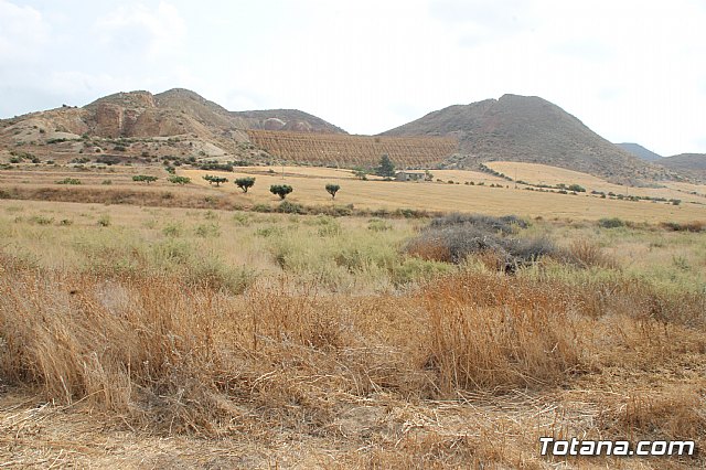Inauguracin del acondicionamiento como va verde del trazado ferroviario Totana - Cartagena - 24