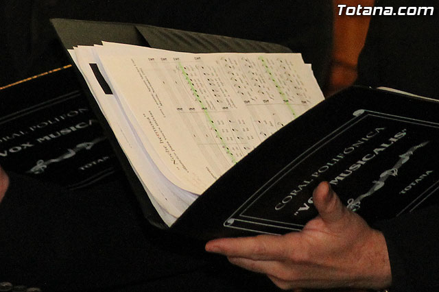 Vox Musicalis. Concierto de Navidad 2012 