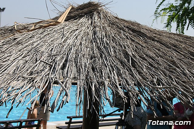 Primera quincena del programa 