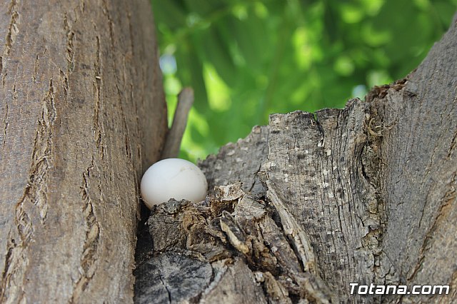Primera quincena del programa 