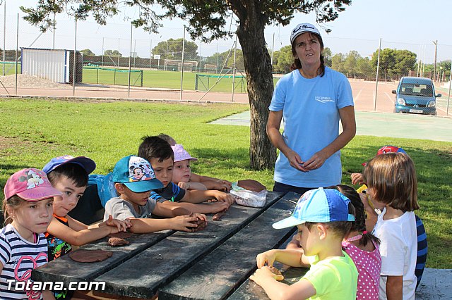 Verano Polideportivo 2015 - 27