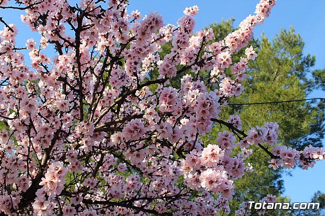 IV VRUTRAIL - Ventanica Running Trail - Sierra Espua 2019 - 194